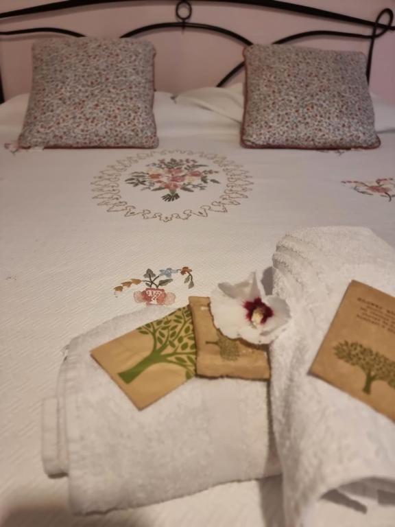 Apartament Mary House @ Sondrio Zewnętrze zdjęcie
